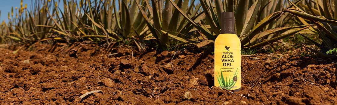 Forever Living Products