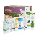 wie oft muss ich eine aloe vera gießen Aloe Vera „Alfonso“ – Aloe-Vera-Pflanze in Gärtnerqualität kaufen main image 0